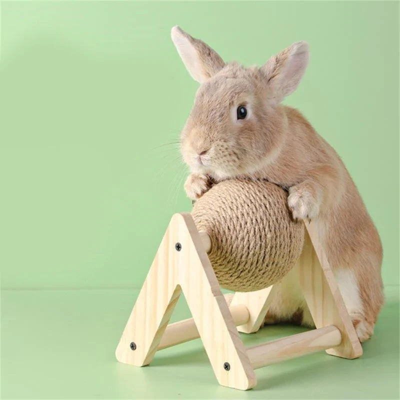 Small Pet Chewing Toy Rabbit Scratching Toy - MyPetDollar.com