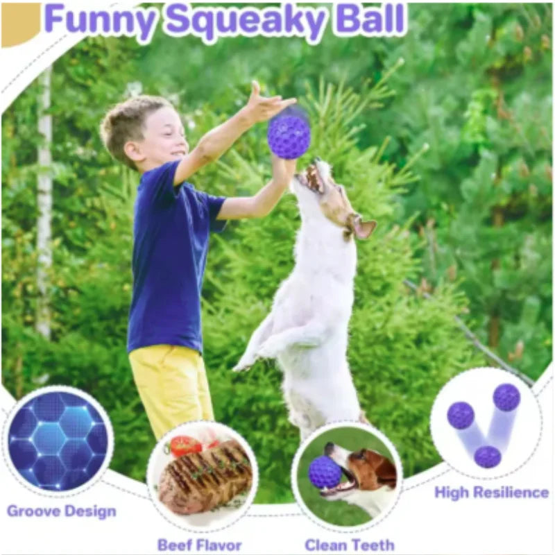 New Dog Toys Bite Resistant Interactive - MyPetDollar.com