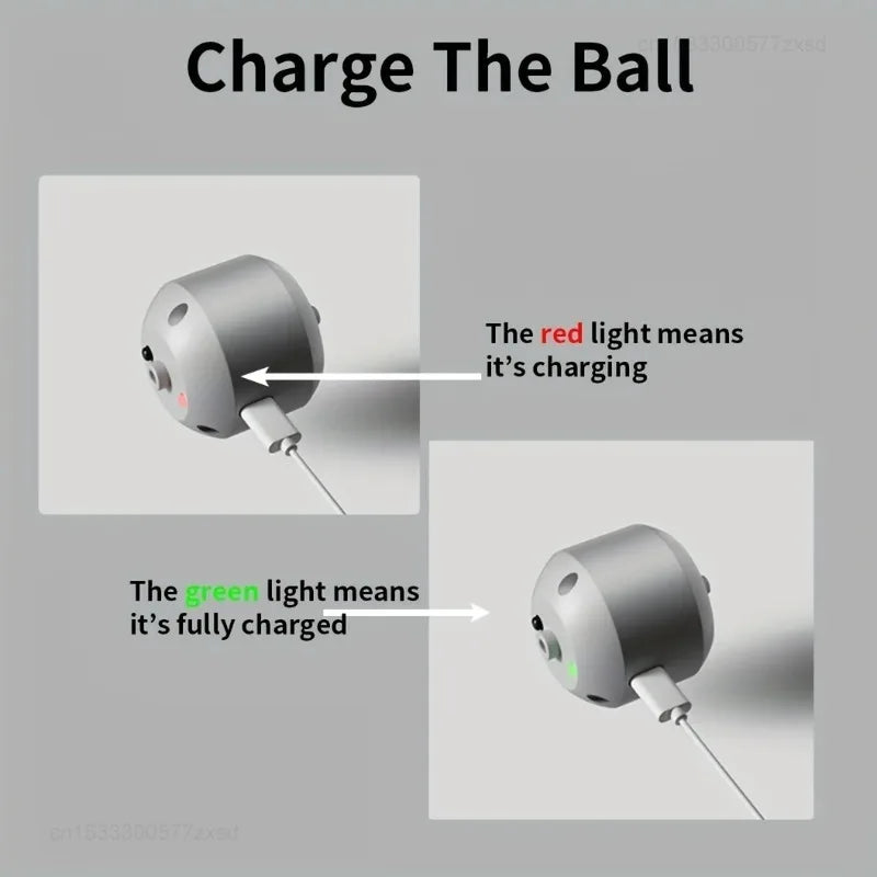 Smart Dog Toy Ball Electronic Pet Toy Ball - MyPetDollar.com
