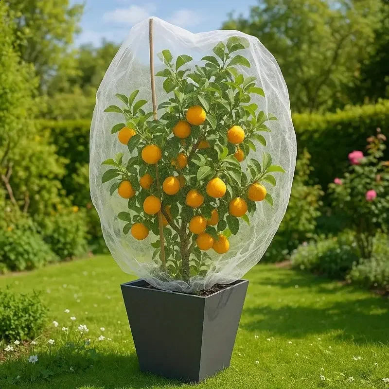 Nylon Plant Protection Netting Mesh Bag - MyPetDollar.com