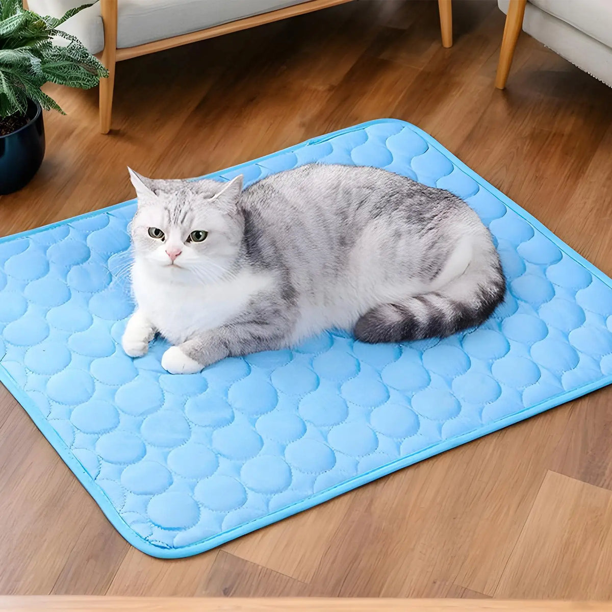 Pet Cooling Dog Outdoor Cooling Mat - MyPetDollar.com