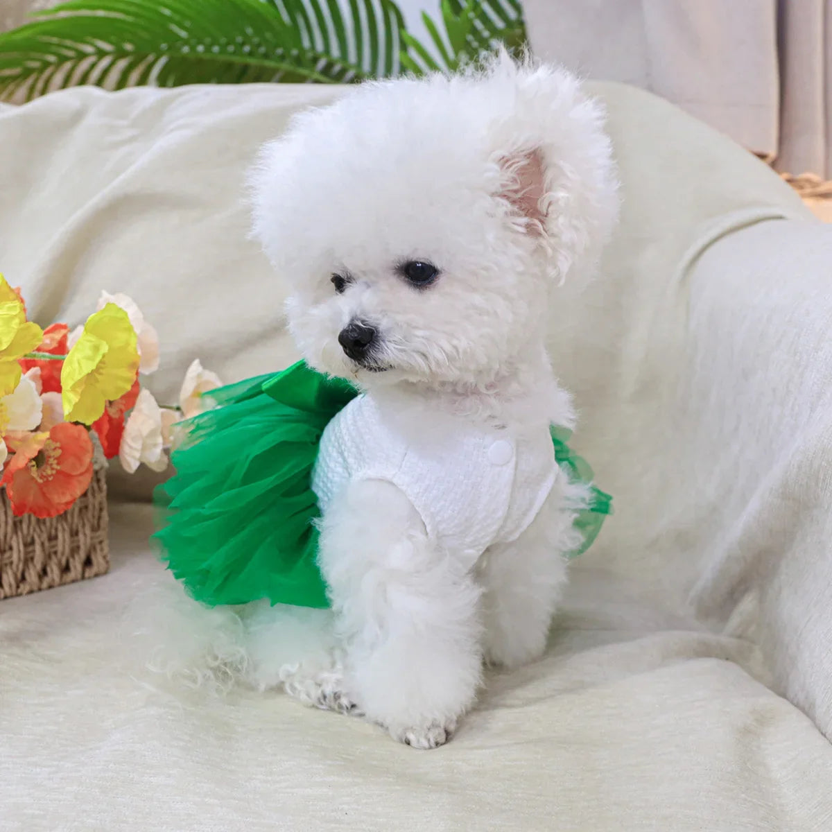 St. Patrick's Gauze Dress - Green Dress - MyPetDollar.com