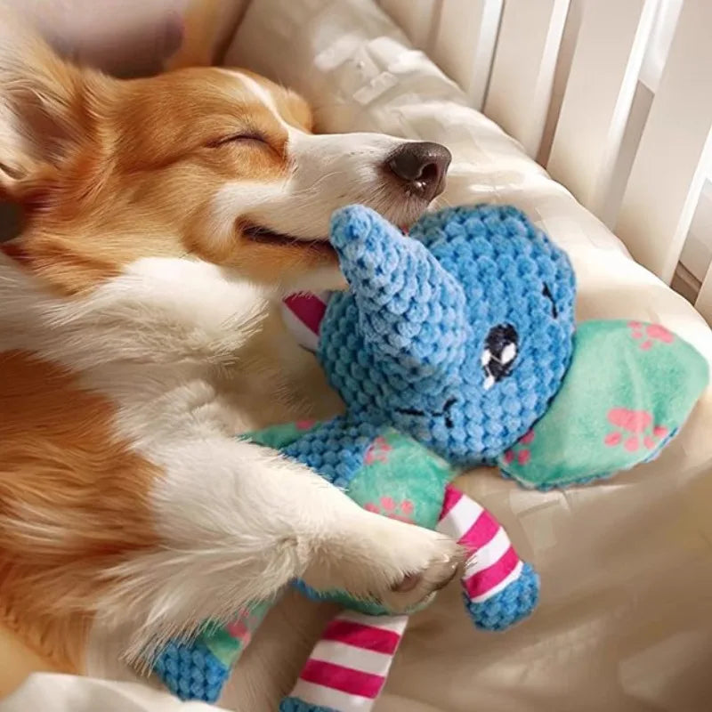 Pet Plush Toy Dog Interactive Teeth Cleaning - MyPetDollar.com