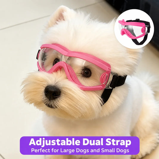 These Pet Dog Sunglasses Can Block - MyPetDollar.com
