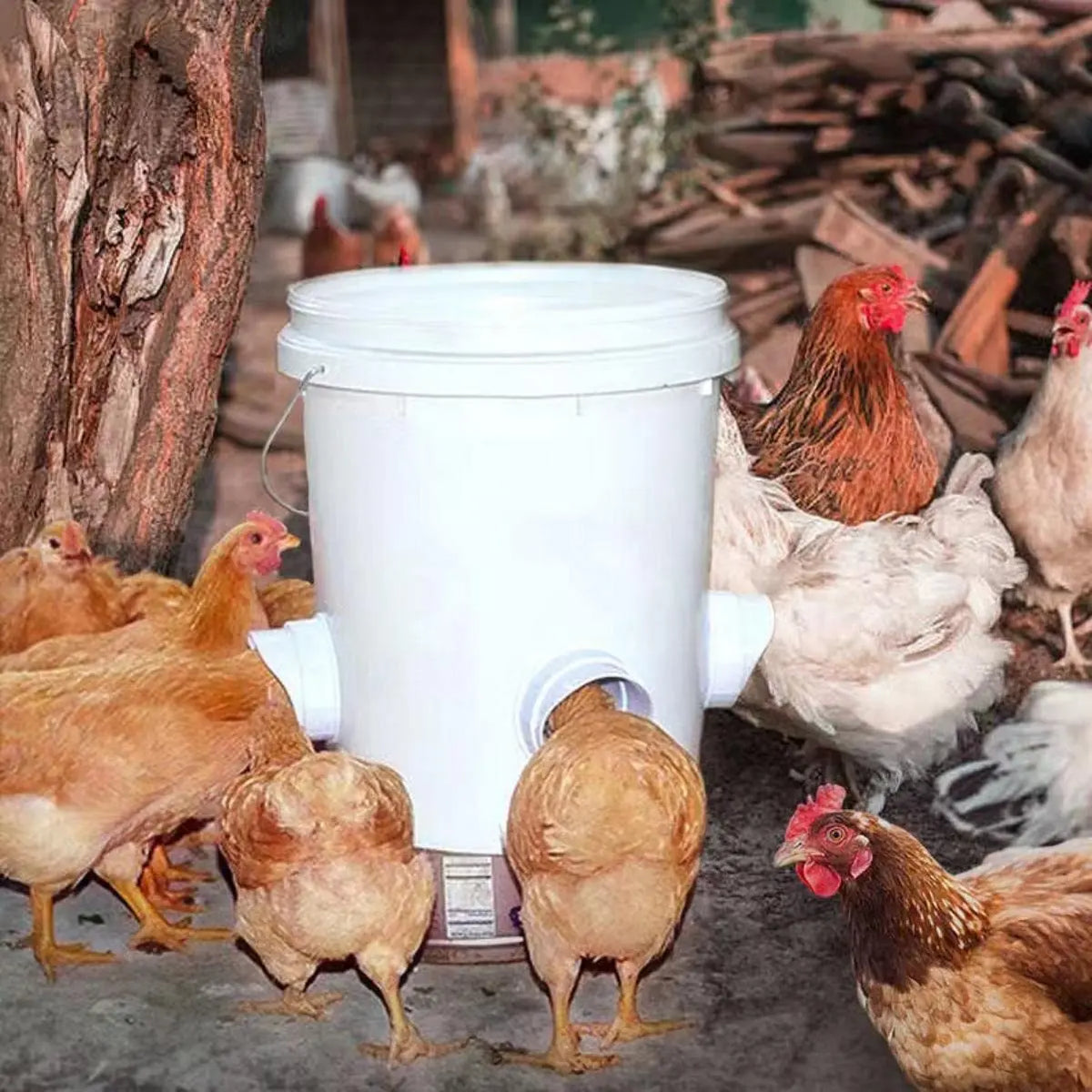 DIY Automatic Chicken Feeder Chicken Feeders - MyPetDollar.com