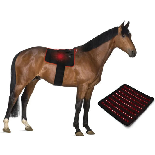 Pain Relief LED Red Light Near Infrared Pet - MyPetDollar.com
