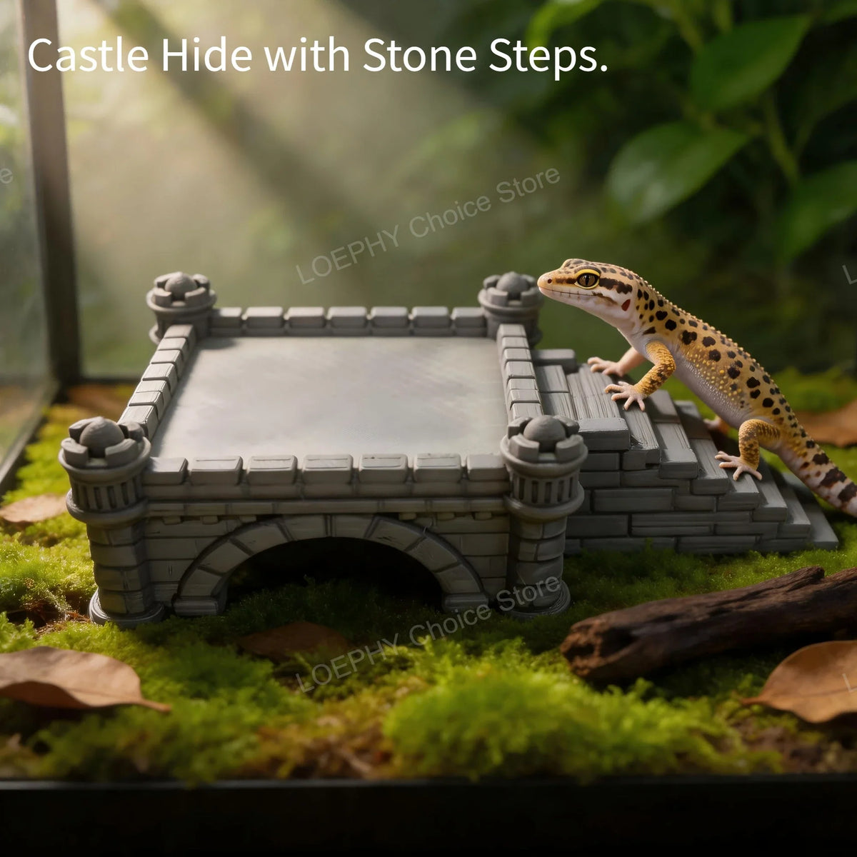 Castle Reptile Hide Cave with Stairs Smooth - MyPetDollar.com