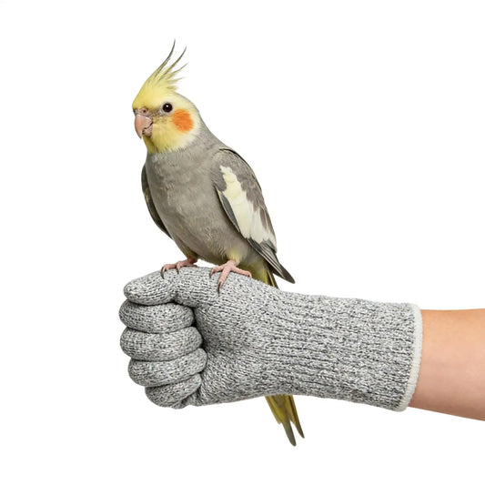 Cat Bite Proof Gloves Scratch & Puncture - MyPetDollar.com