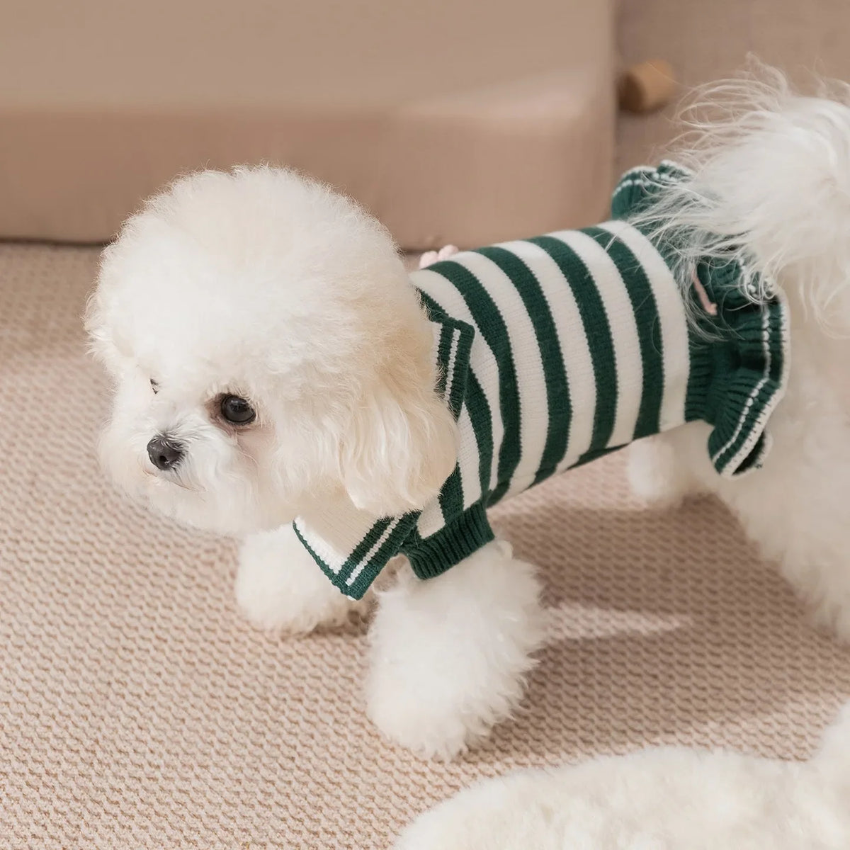 2025 Princess-Style Pet Fleece Dress Teddy - MyPetDollar.com