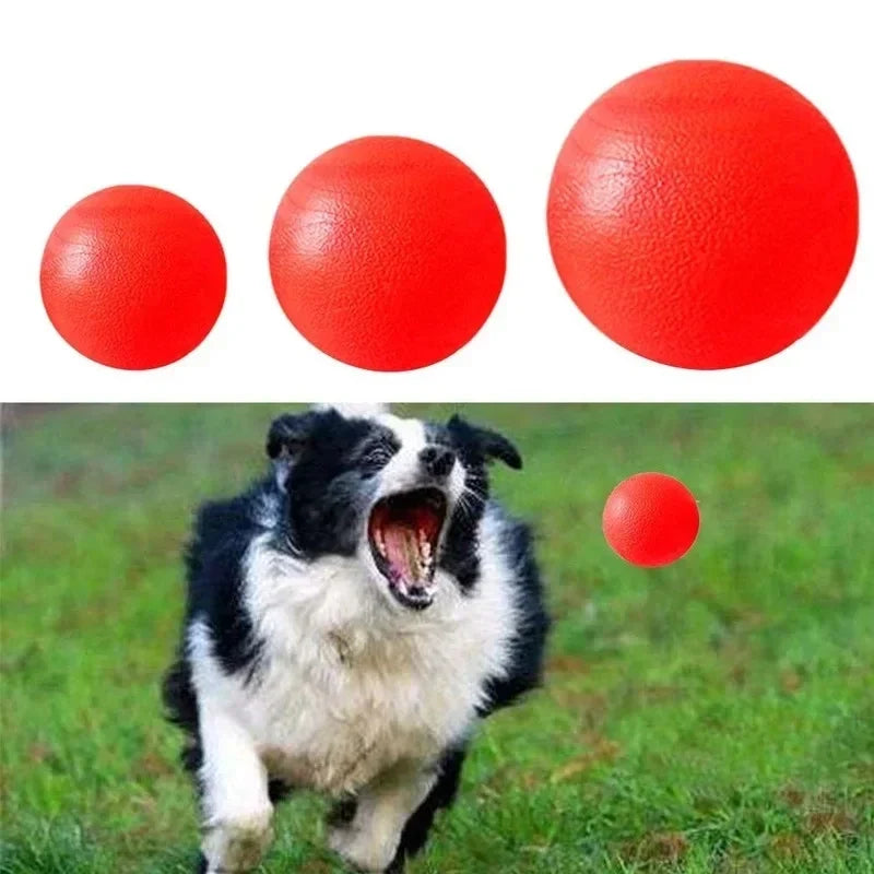 Indestructible Solid Rubber Ball Pet Dog Toy - MyPetDollar.com