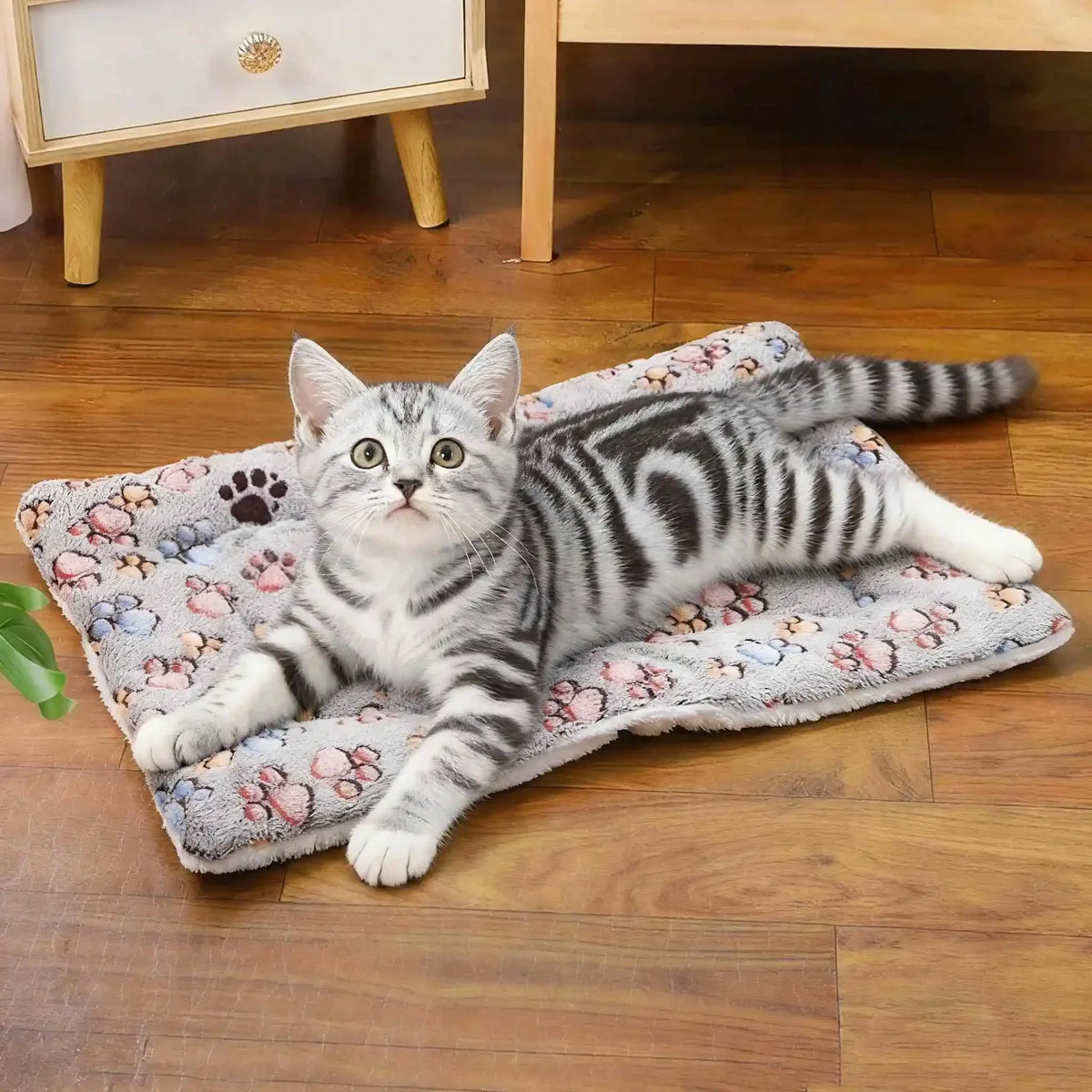 Portable Dog Sleeping Bed Mats Pet Blanket - MyPetDollar.com