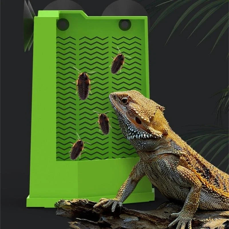 Reptiles Corner Feeder Feeding Dish Easy to - MyPetDollar.com