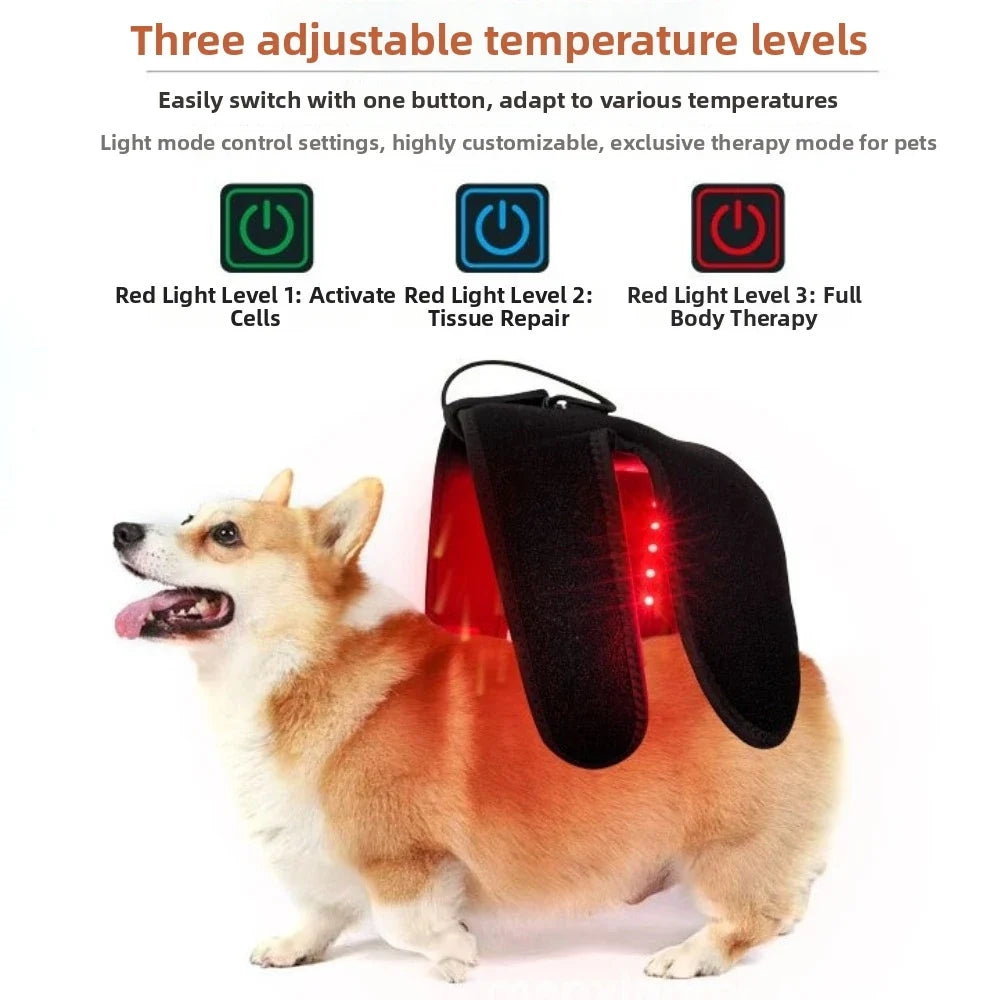 Automatic Timing Pet Red Light Recovery - MyPetDollar.com