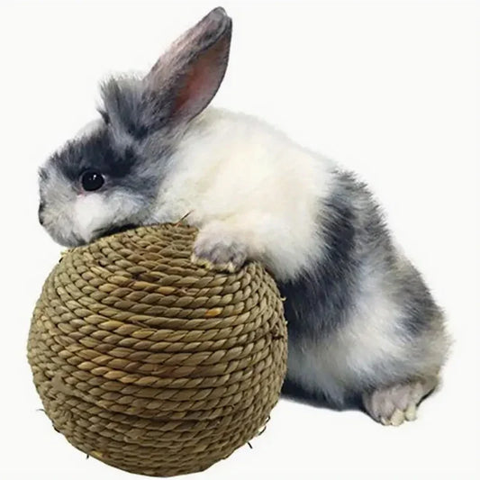 Handmade straw and rattan pet ball water - MyPetDollar.com