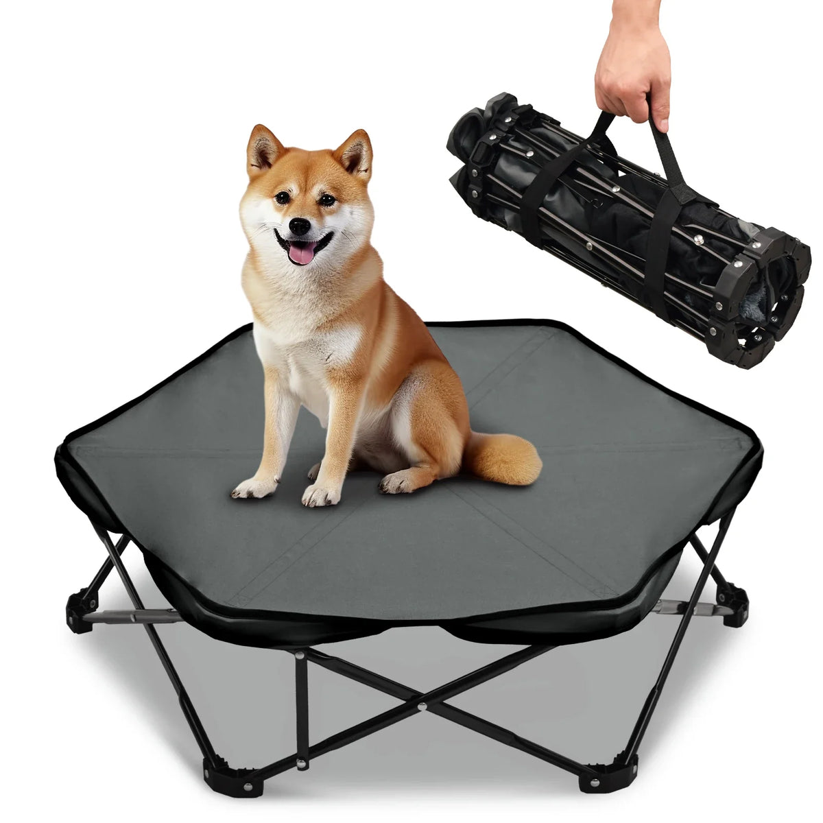 Folding Elevated Dog Bed Portable Camping - MyPetDollar.com