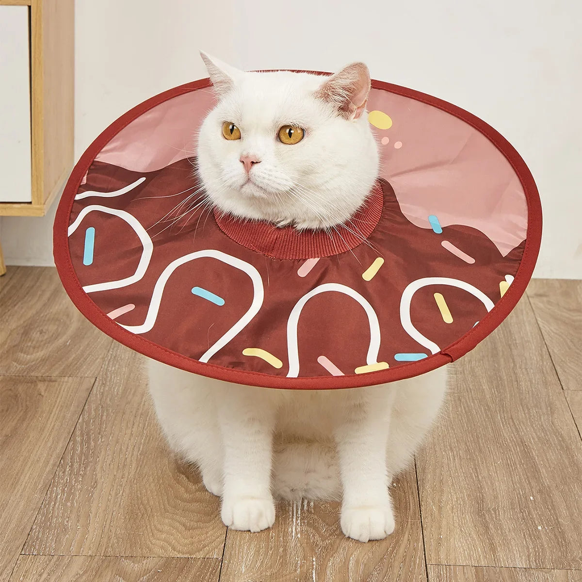 New Elizabethan Collar, Stylish and - MyPetDollar.com