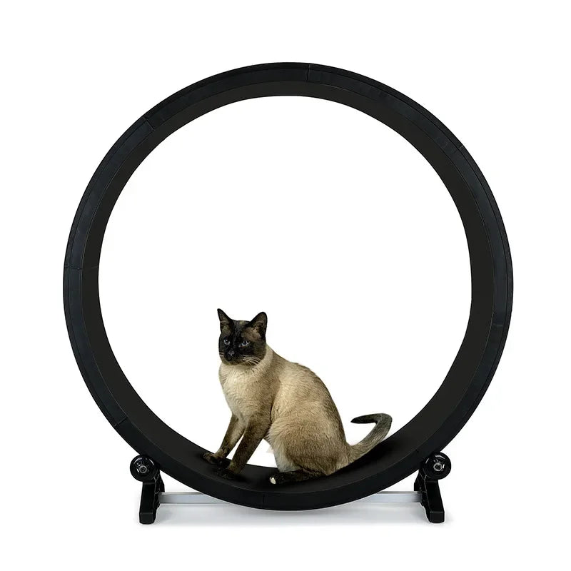 Multi-Functional Silent Cat Treadmill Pet - MyPetDollar.com
