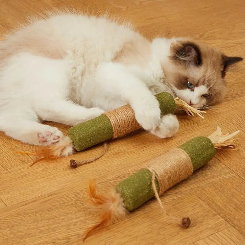 1/2PCS Cat Toys Made Of Wood Knotweed - MyPetDollar.com