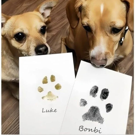 Safe Non-toxic Baby Footprints Handprint No - MyPetDollar.com