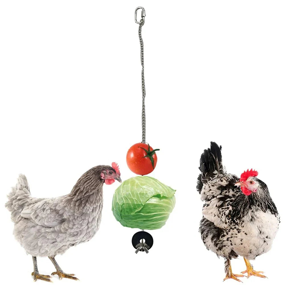 Pet Parrot Stainless Steel Feeder Fruit Corn - MyPetDollar.com