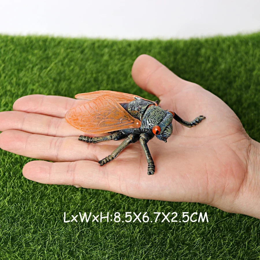 Realistic Insect Grasshopper Mosquito Cicad - MyPetDollar.com