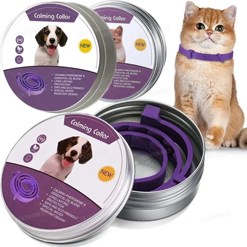 Pet Dog Calming Aluminum Box Collar, Cat - MyPetDollar.com