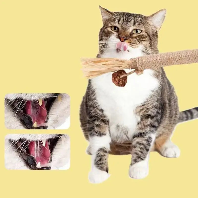 1/2PCS Cat Toys Made Of Wood Knotweed - MyPetDollar.com