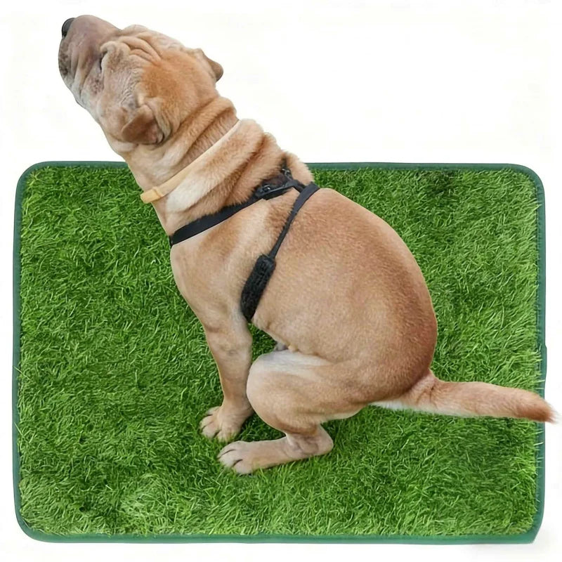 Pet Urine Pad Reusable Absorbent Leak-Proof - MyPetDollar.com