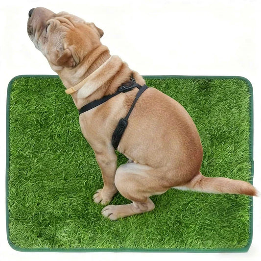 Pet Urine Pad Reusable Absorbent Leak-Proof - MyPetDollar.com