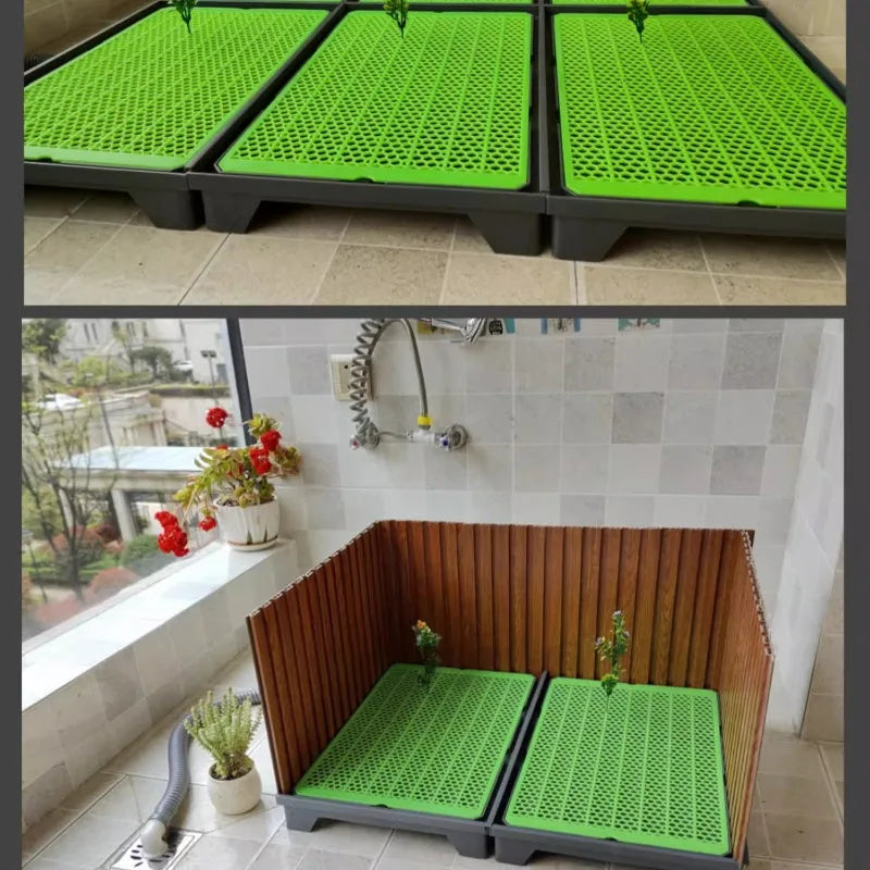 Pet Toilet with Baffle Flushing Water - MyPetDollar.com