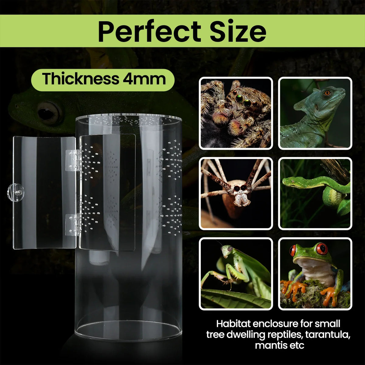 Jumping Spider Enclosure Ecological Cage