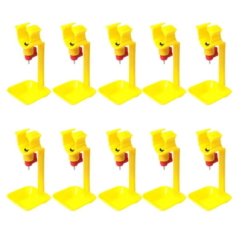 50 Pcs Drinking Cups Chicken Hanging - MyPetDollar.com