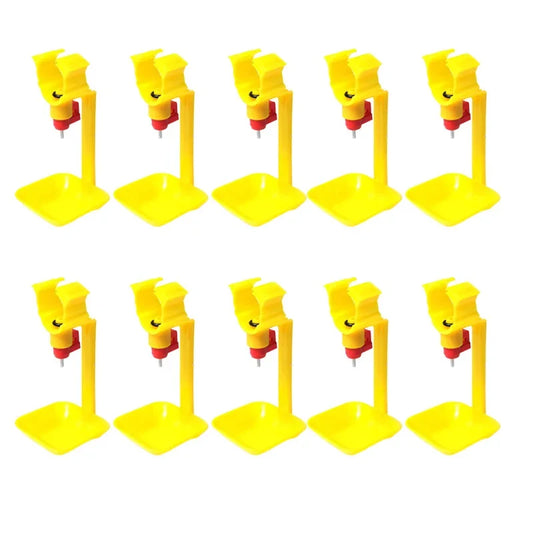 50 Pcs Drinking Cups Chicken Hanging - MyPetDollar.com