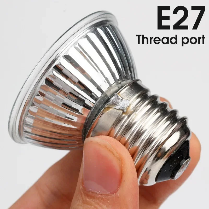25/50/75W UVA UVB Reptile Lamp Bulb Turtle - MyPetDollar.com