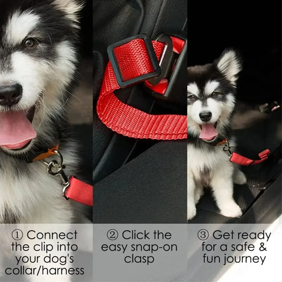 Dog Seat Belt, Dog Car Adjustable Seatbelts - MyPetDollar.com