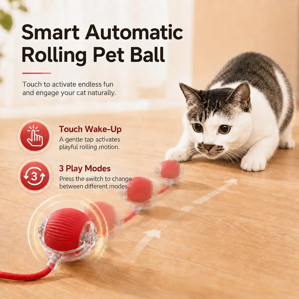 New Cat Interactive Ball Toy Automatic - MyPetDollar.com
