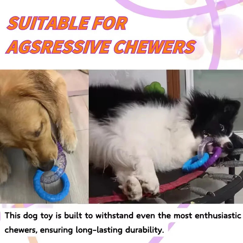 Indestructible Dog Pull Ring Toy Bite - MyPetDollar.com