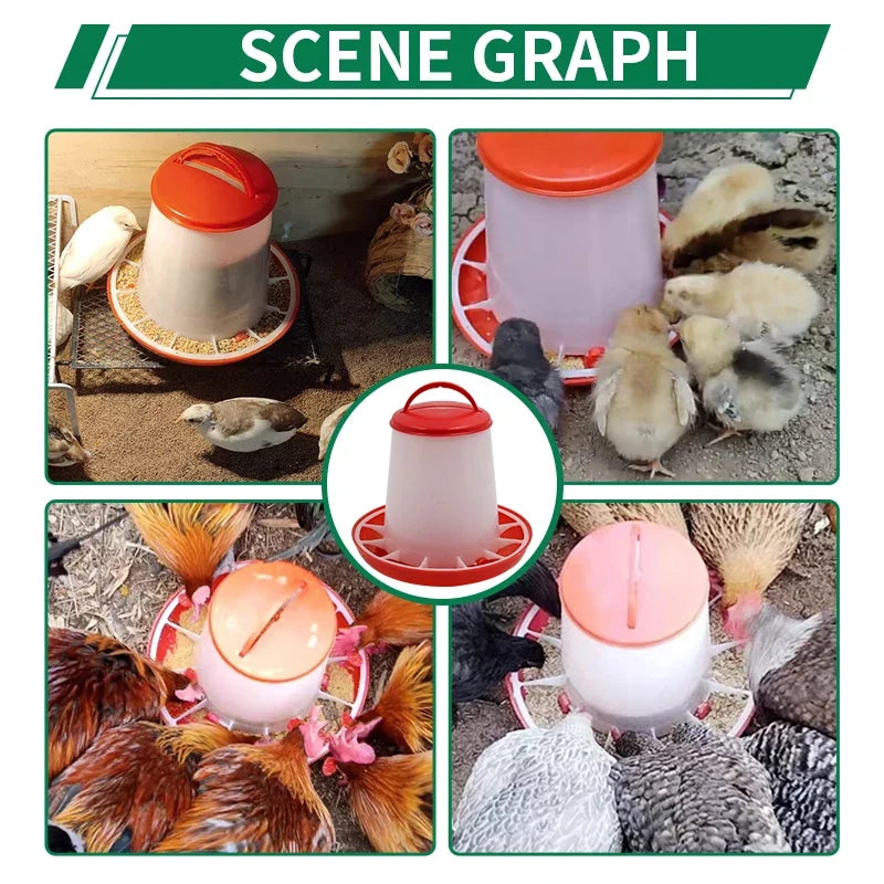 1.5/3/6/9/12kg Automatic Chicken Feeder - MyPetDollar.com