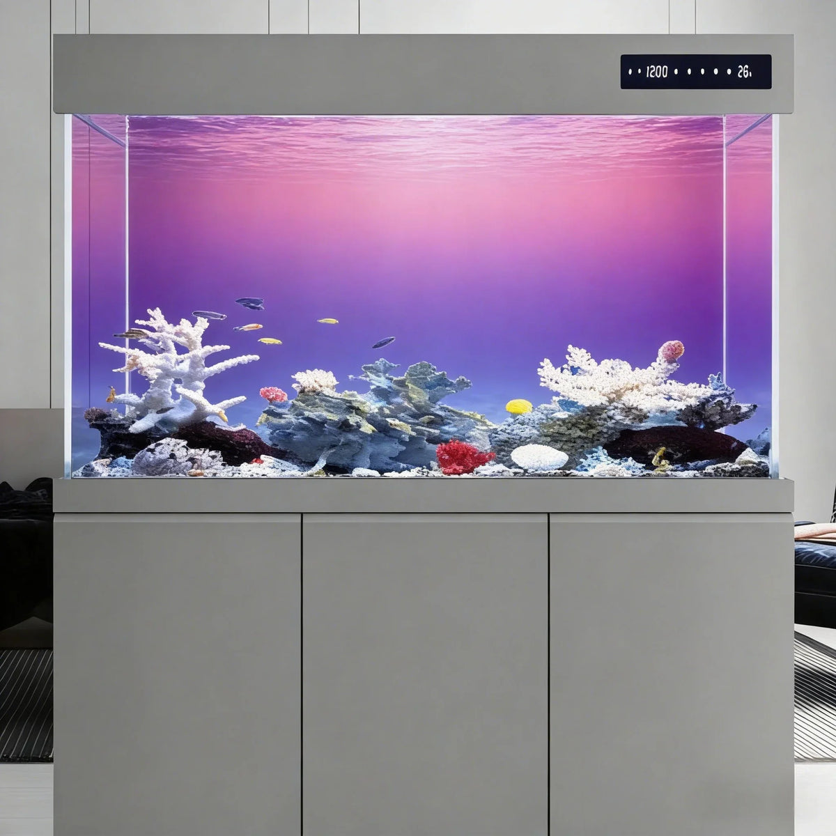Pink Purple Gradient, Fish Tank Background - MyPetDollar.com