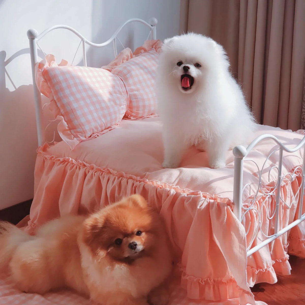 Ins Elevated Princess Bed for Puppies Iron - MyPetDollar.com