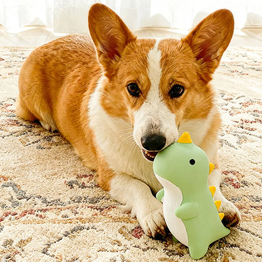 Squeaky Latex Dog Toys - Durable Chew - MyPetDollar.com