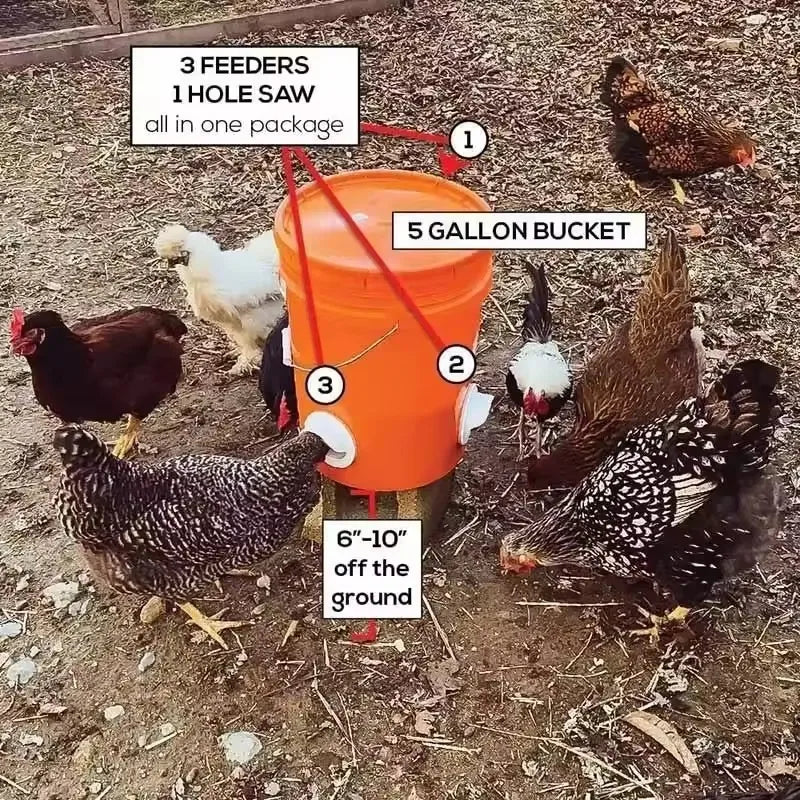 Chicken Feeder DIY Rainproof Poultry Feeder - MyPetDollar.com
