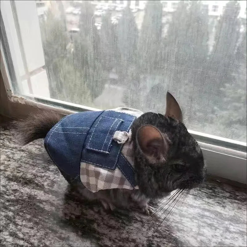 Walking Small Animals Pet Harness for - MyPetDollar.com