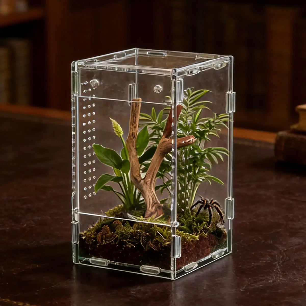 New Reptile Habitat Terrarium Breeding Box - MyPetDollar.com