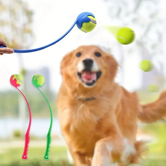 Pet Tennis Ball Launcher Set Outdoor Dog - MyPetDollar.com