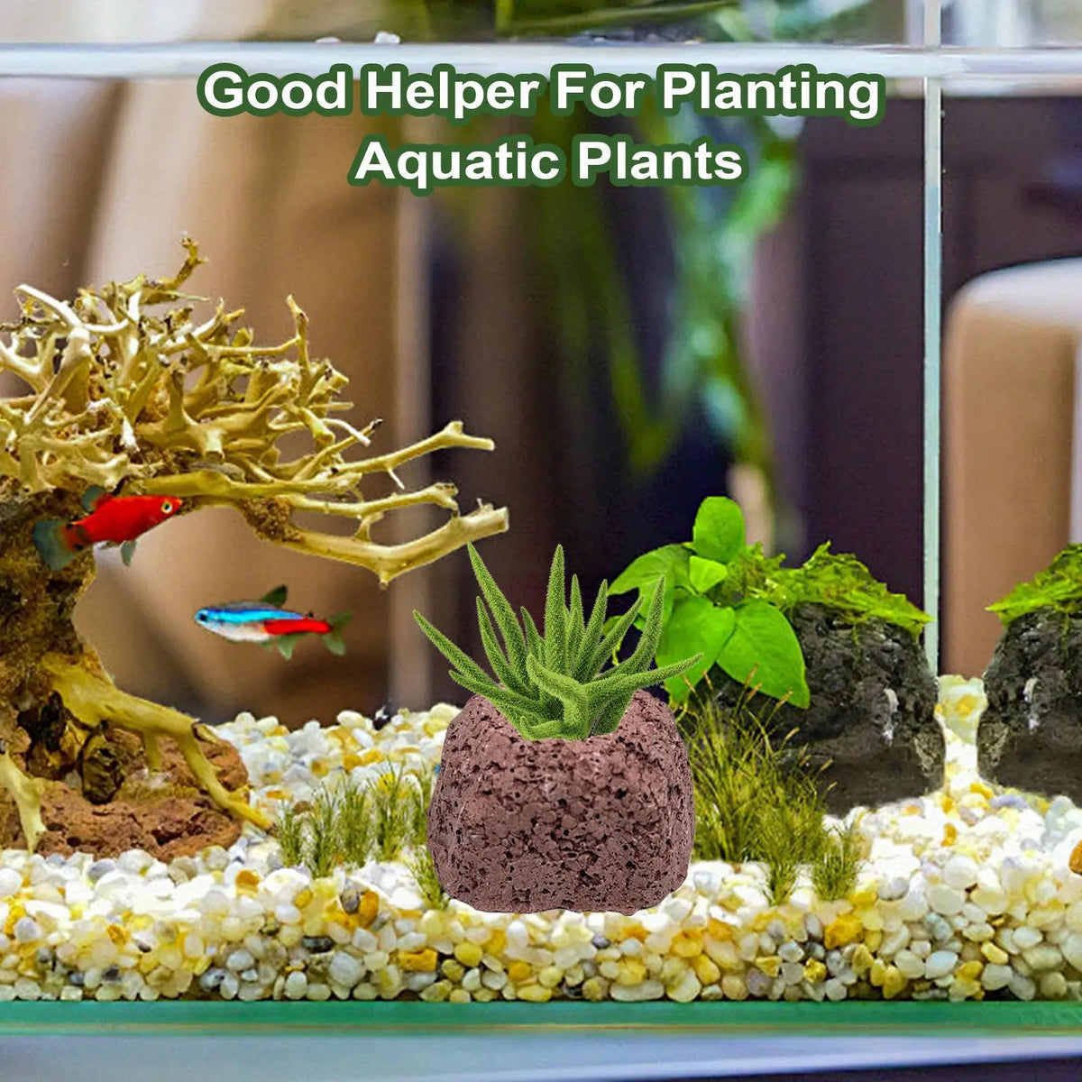 Aquarium Plant Weights 4 Pieces Volcanic - MyPetDollar.com