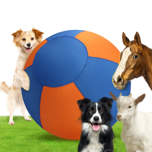 Dog Giant Toy Ball Large Pet Outdoor - MyPetDollar.com