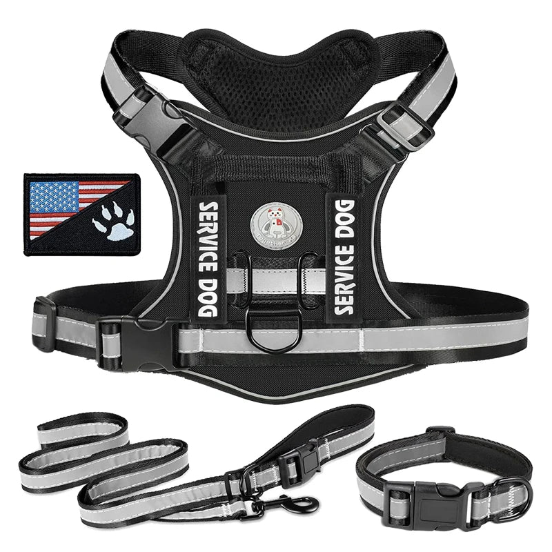 Doberman Dog Harness Collar Leash Set - MyPetDollar.com
