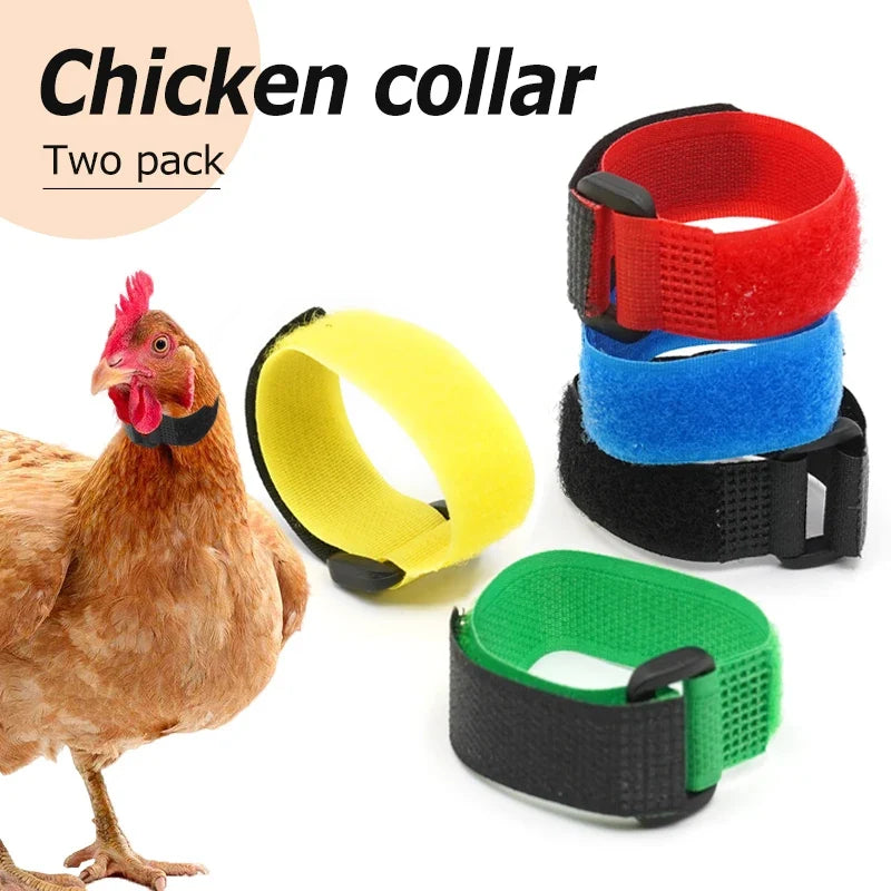 2Pcs No Crow Rooster Collar Chicken Collar - MyPetDollar.com