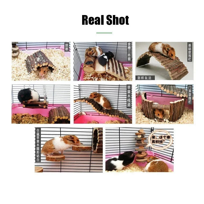 Natural Coconut Shell Hamster Nest Small - MyPetDollar.com